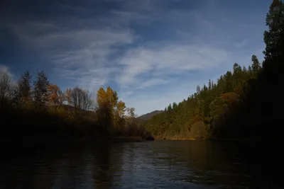 DSC_0287 (Large).JPG